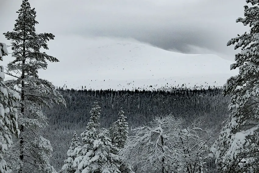 Städjan